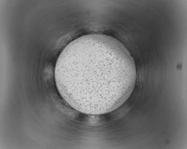 X0000114410623200911061602