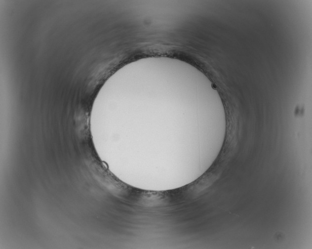 X0000114410624200911061602