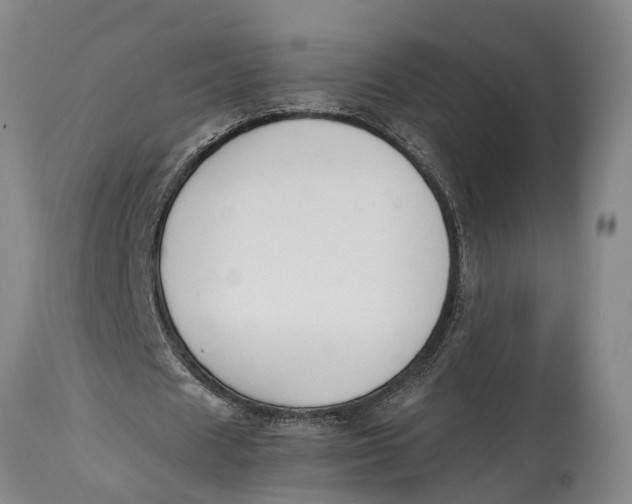 X0000114410625200911061601