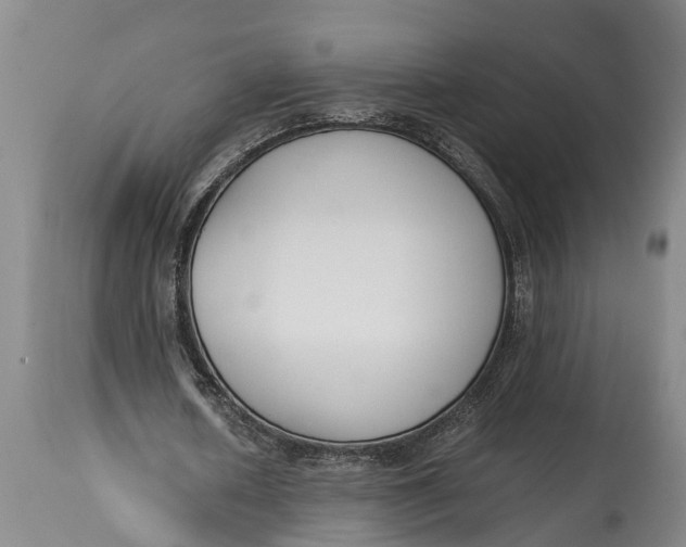 X0000114410626200911061601