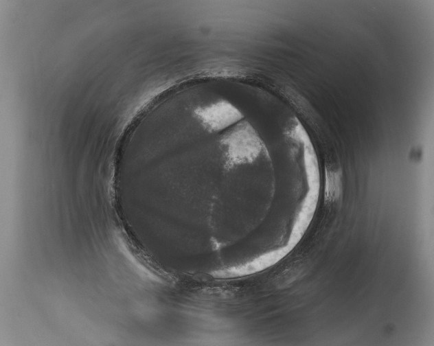 X0000114410627200911061602