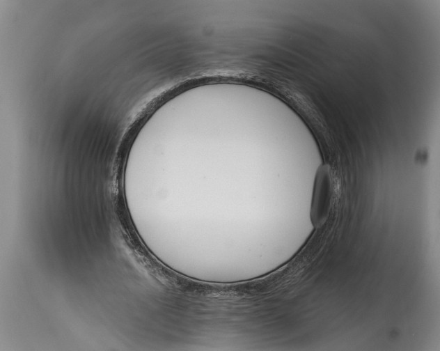 X0000114410628200911061602