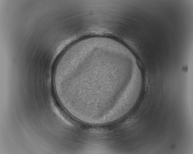 X0000114410630200911061602