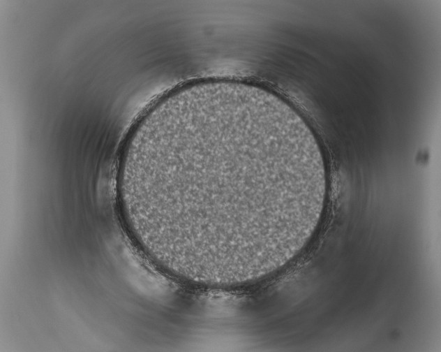 X0000114410632200911061602