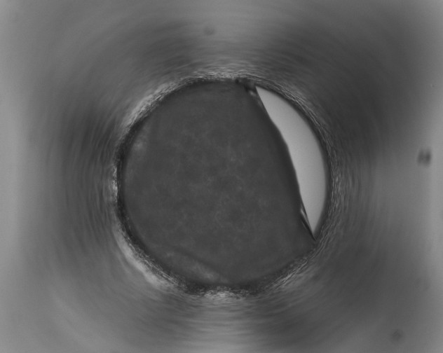 X0000114410634200911061602