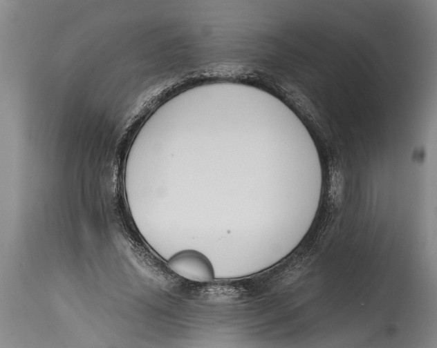 X0000114410636200911061602