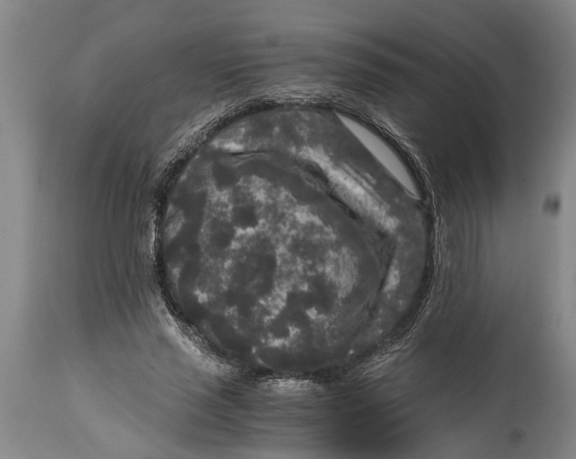 X0000114410637200911061602