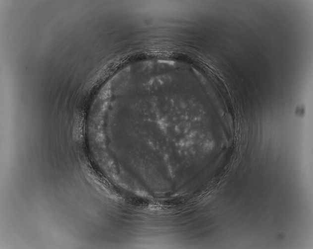 X0000114410641200911061602