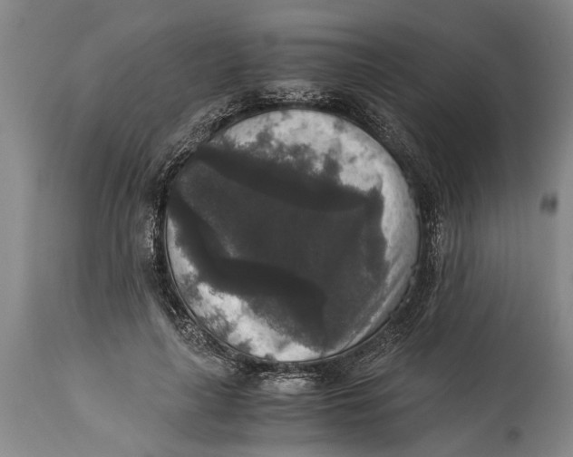 X0000114410643200911061602