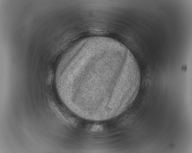 X0000114410647200911061602