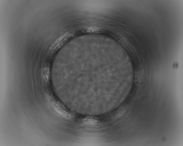 X0000114410648200911061602