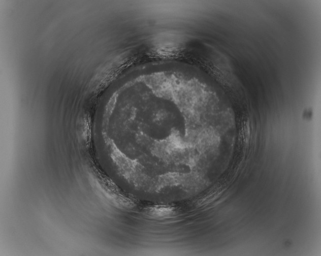 X0000114410651200911061602