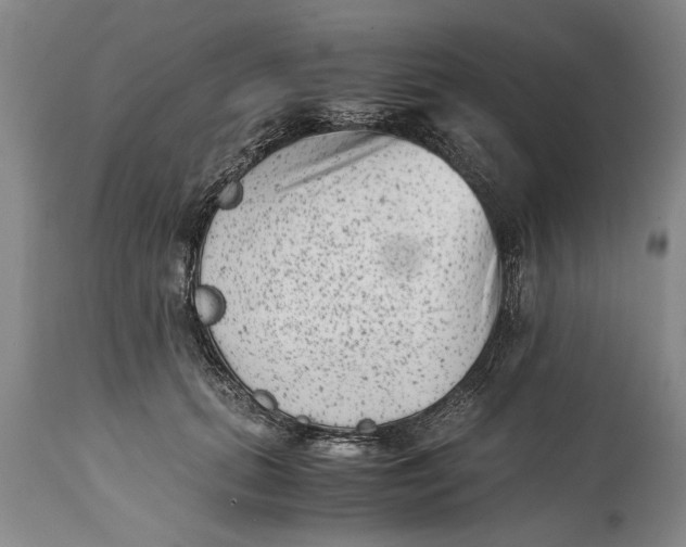 X0000114410655200911061602