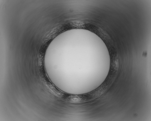 X0000114410658200911061602