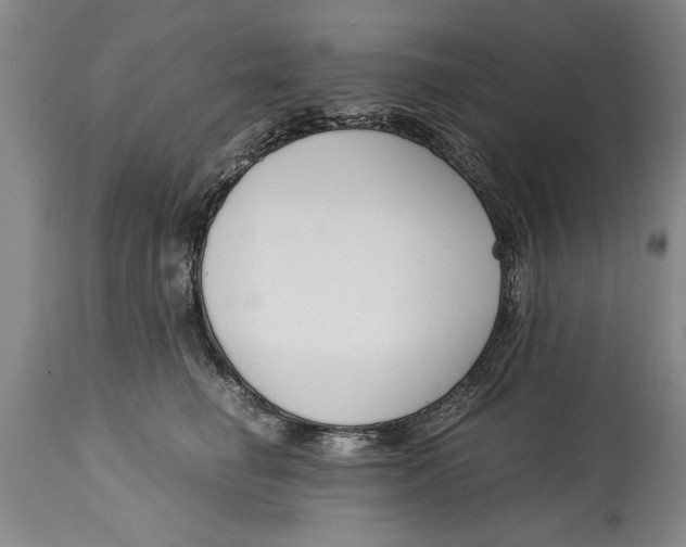 X0000114410662200911061602