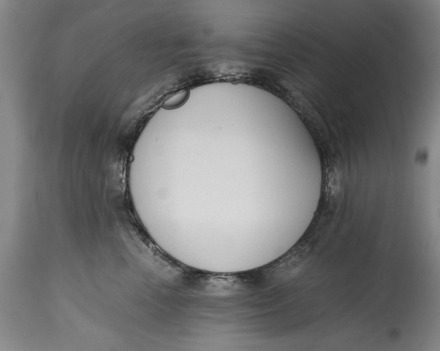 X0000114410666200911061602