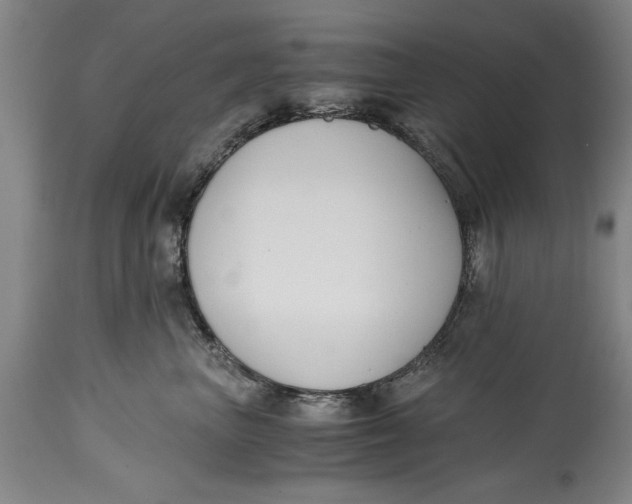 X0000114410667200911061602