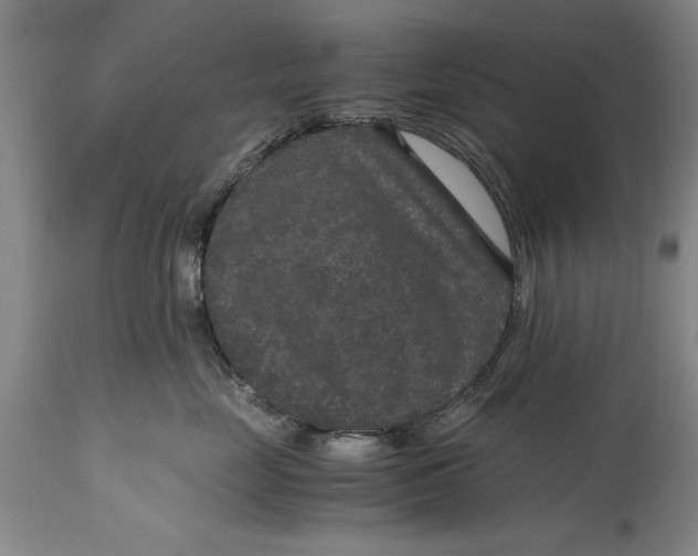 X0000114410669200911061602