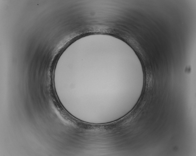 X0000114410674200911061601