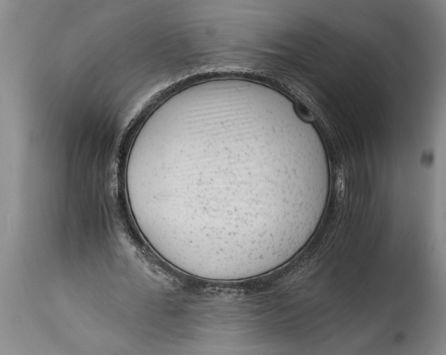 X0000114410676200911061601