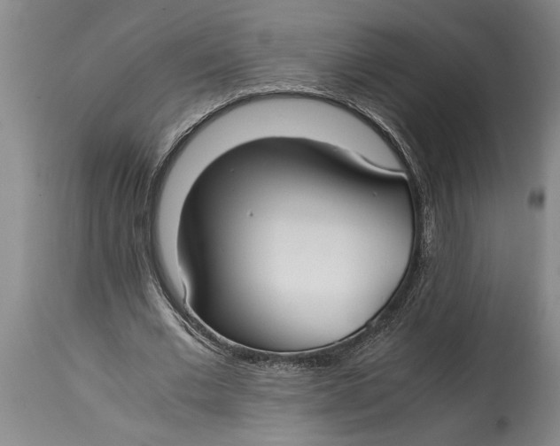 X0000114410677200911061601