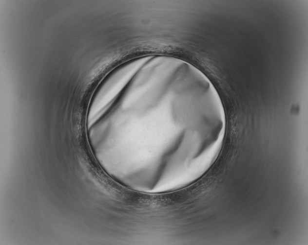 X0000114410679200911061601