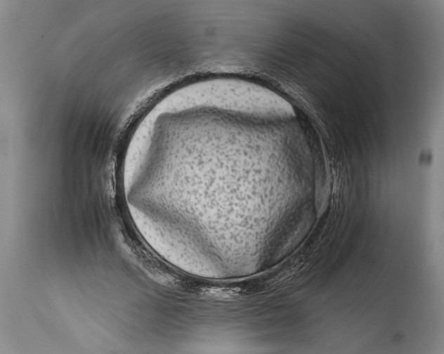 X0000114410680200911061601