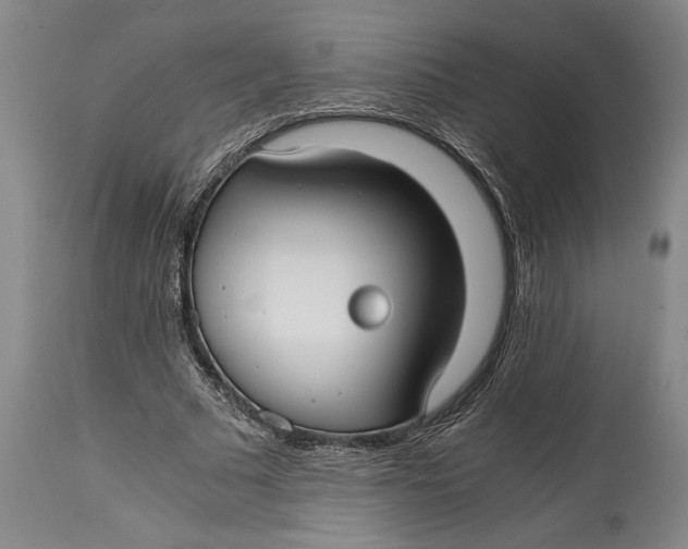 X0000114410681200911061601