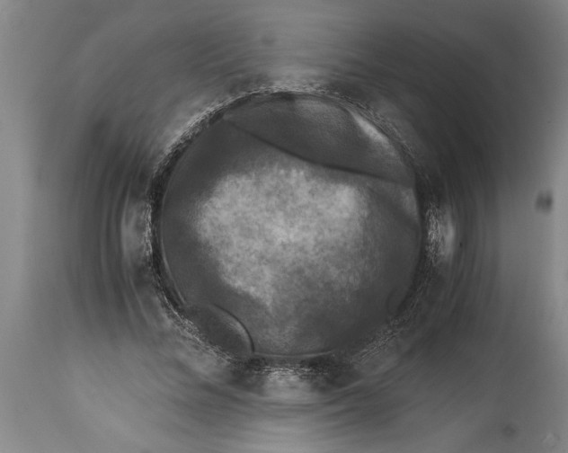 X0000114410684200911061601