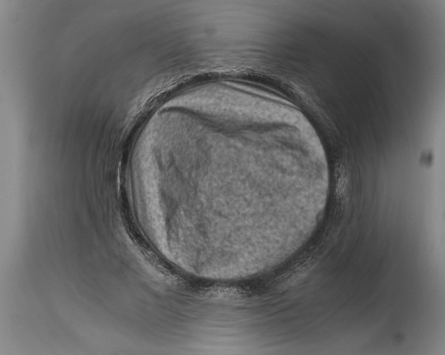 X0000114410685200911061601