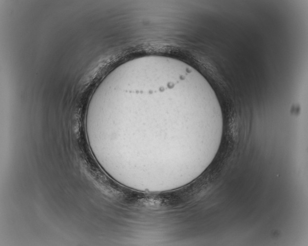 X0000114410687200911061601