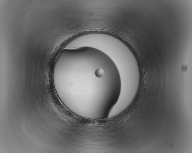 X0000114410688200911061601