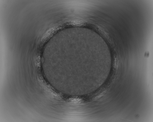 X0000114410689200911061601