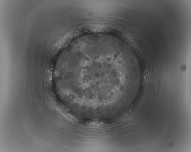 X0000114410691200911061601