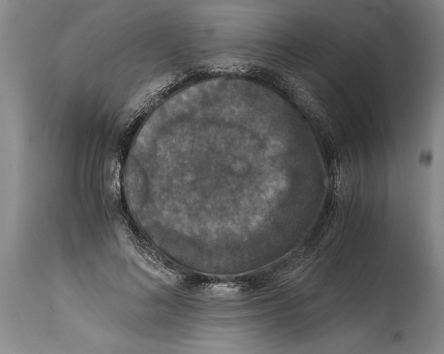 X0000114410692200911061601