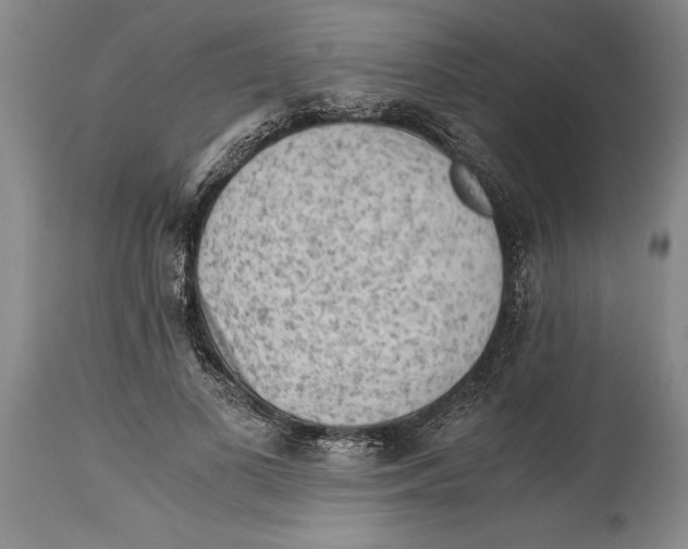 X0000114410693200911061601