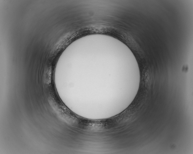 X0000114410694200911061601