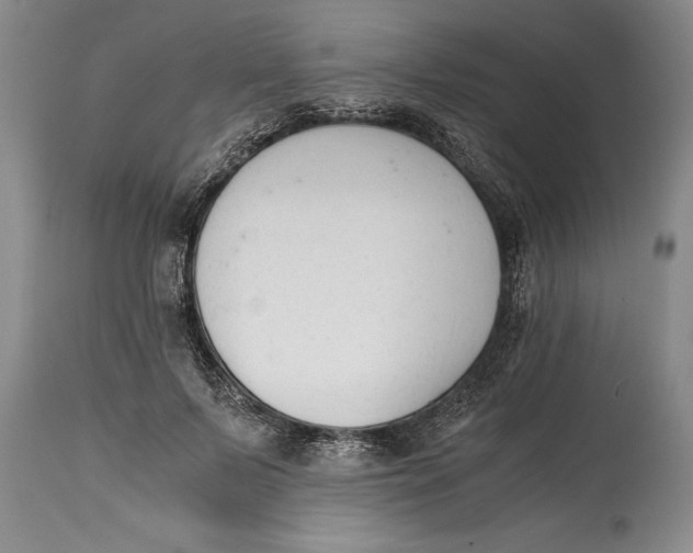 X0000114410695200911061601