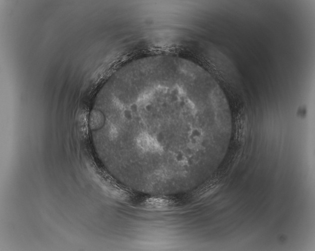 X0000114410699200911061601