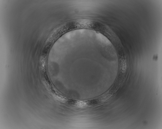 X0000114410701200911061601