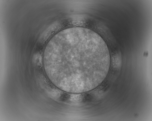 X0000114410705200911061601