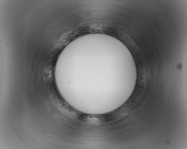 X0000114410706200911061601