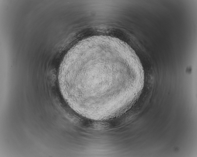 X0000114410707200911061601