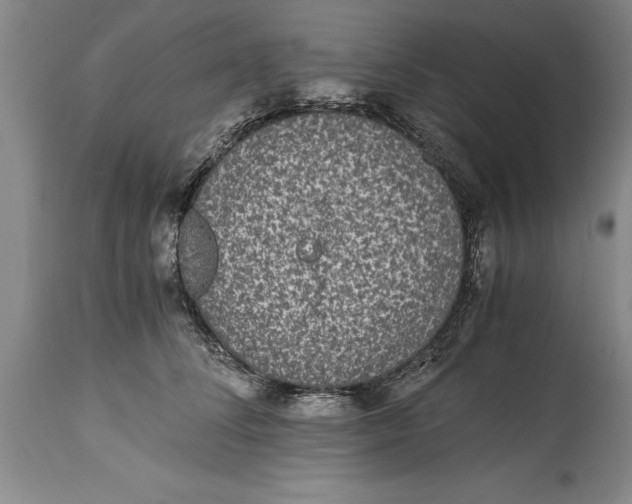 X0000114410708200911061601