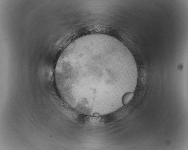 X0000114410709200911061601