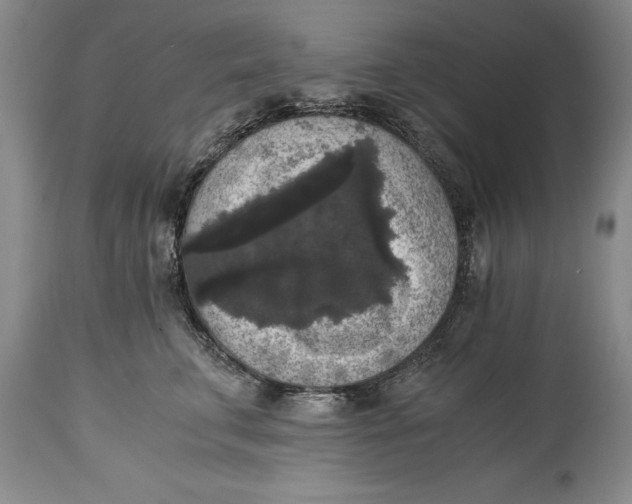 X0000114410711200911061601