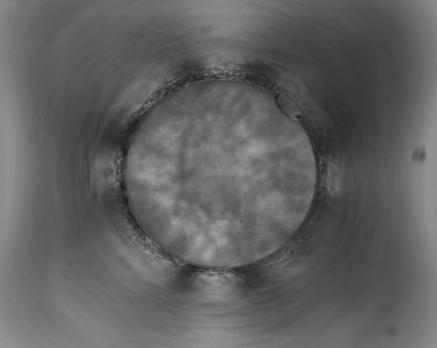 X0000114410712200911061601