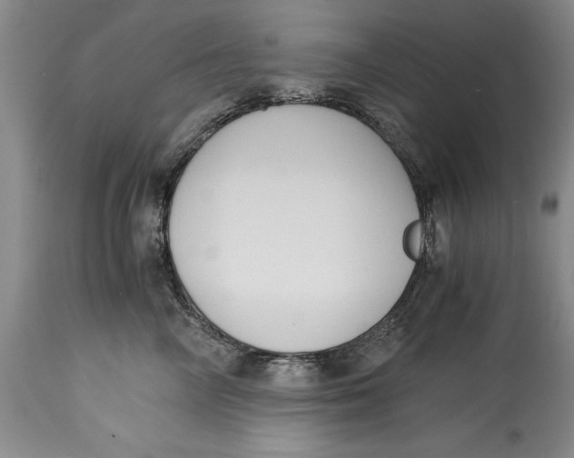 X0000114410714200911061601