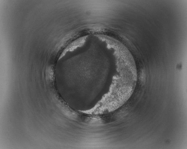 X0000114410715200911061601