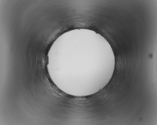 X0000114410716200911061601